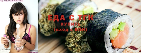 МДПВ Протвино